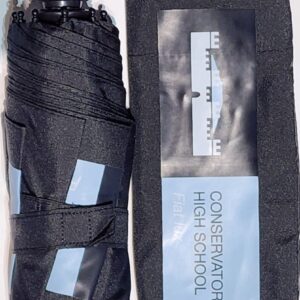 Premium School Branded Umbrella